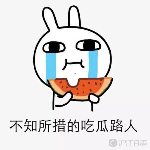 吃瓜大事件回顾,盘点年度热门八卦瞬间